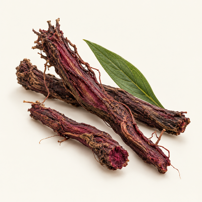 Purple Gromwell Root