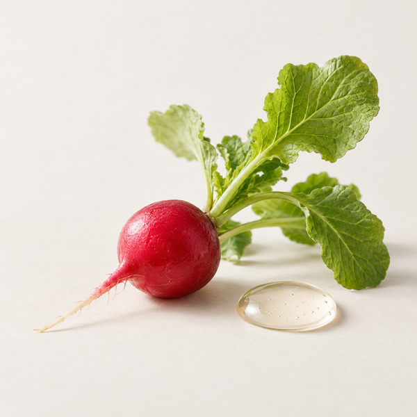 Radish Root Ferment Filtrate