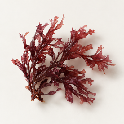 Hydrolyzed Corallina Officinalis Extract and Maris Aqua