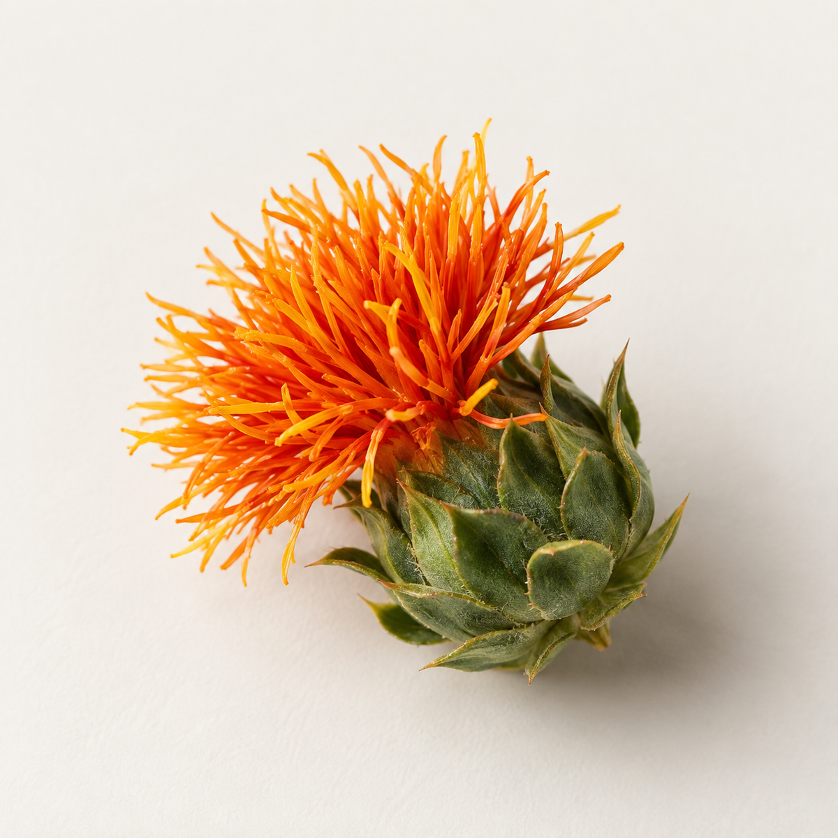 Organic Safflower oil