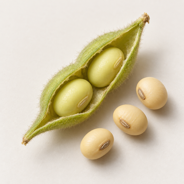 Soy ingredients