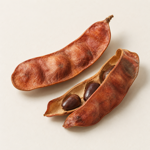 Caesalpinia Spinosa Fruit Extract 