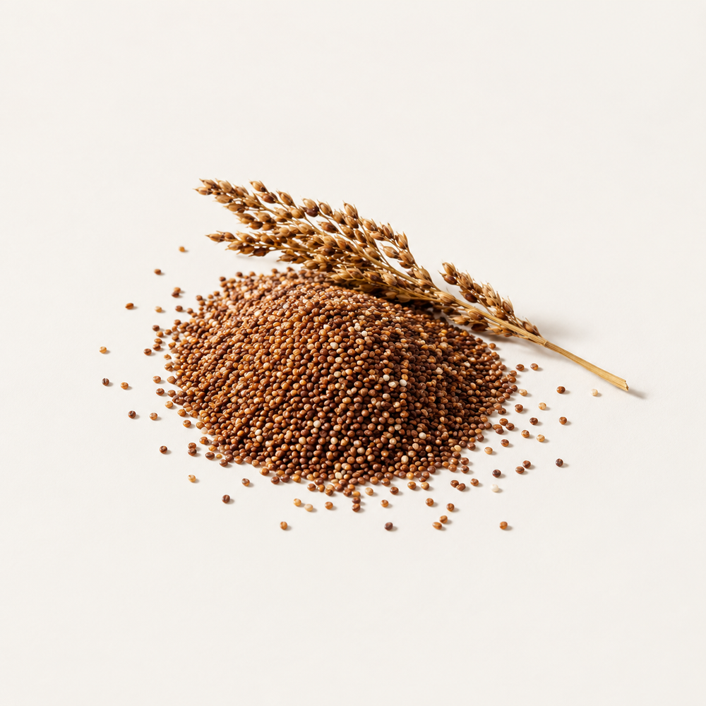 Hydrolyzed Eragrostis Tef Seed Extract