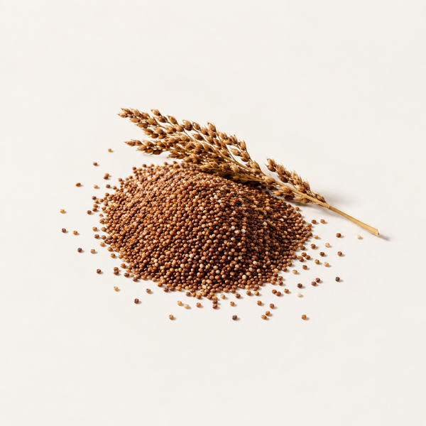 Hydrolyzed Eragrostis Tef Seed Extract 