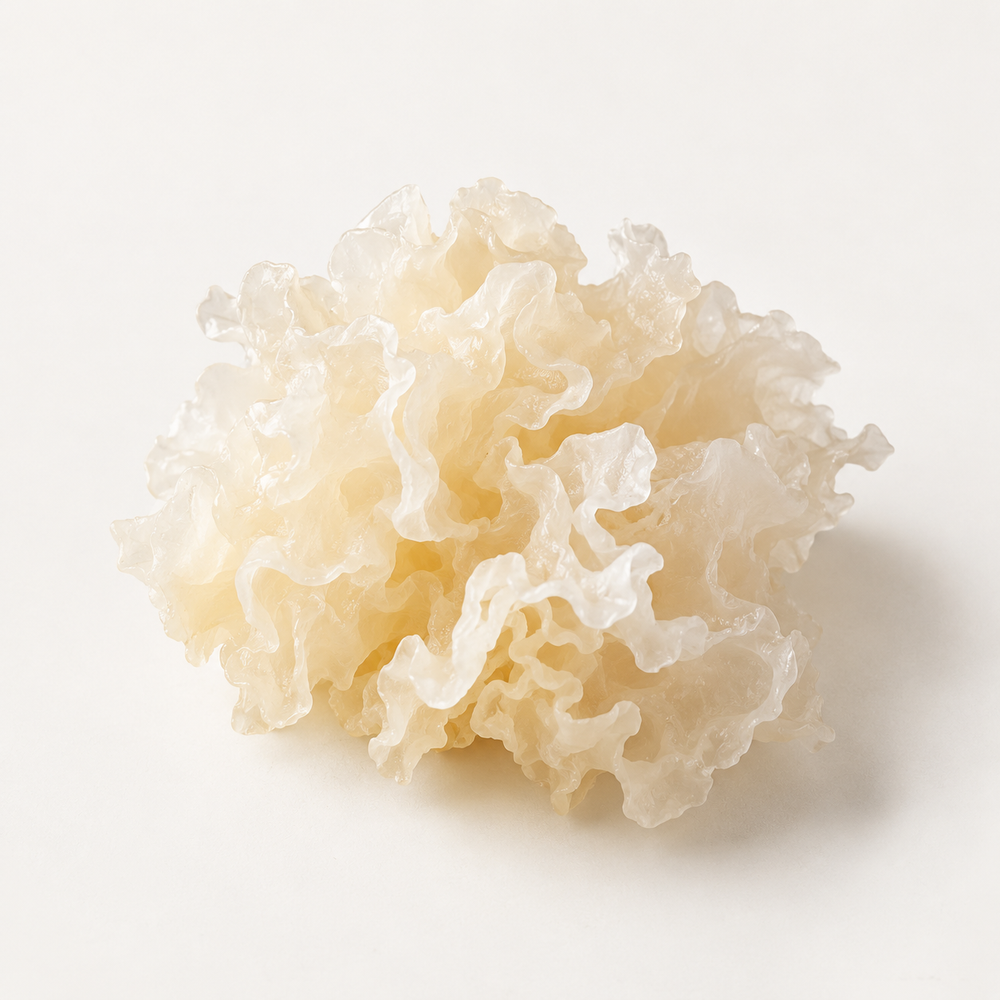 Tremella Fuciformis (Mushroom) Extract