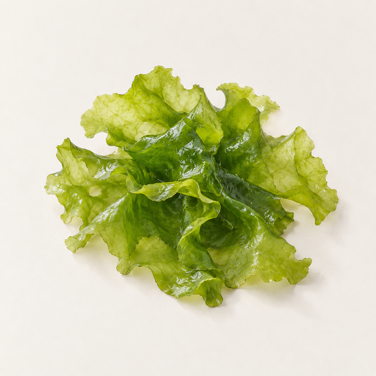 Ulva Lactuca Extract