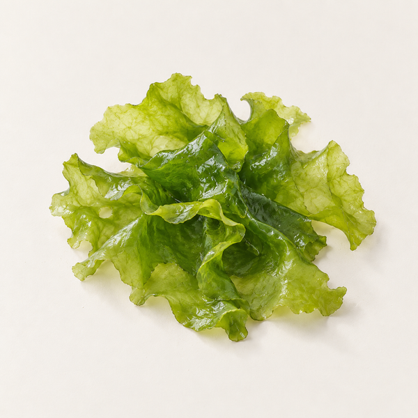 Ulva Lactuca Extract