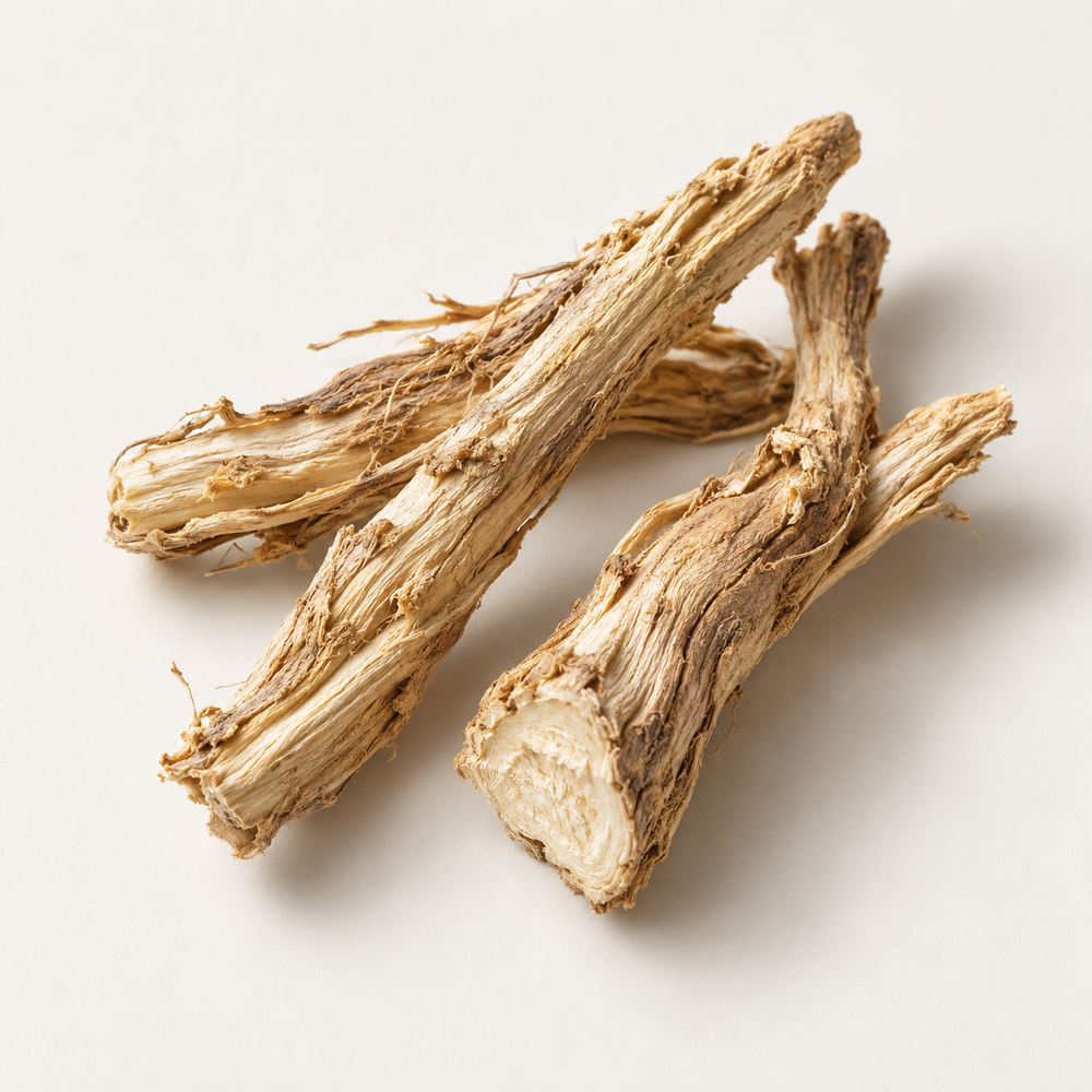 Morus Alba (White Mulberry) Root Extract