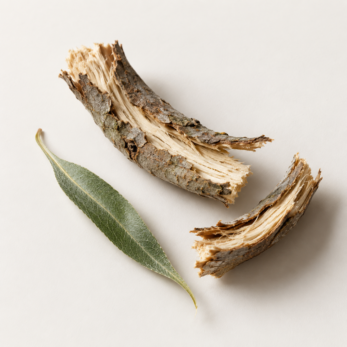 Salix Alba (Willow) Bark Extract
