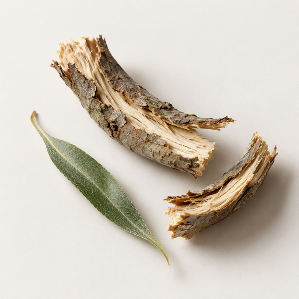 Salix Alba (Willow) Bark Extract