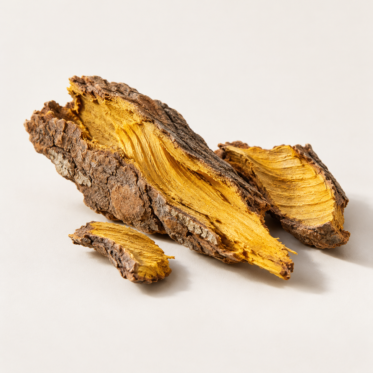 Enantia Chlorantha Bark Extract et Oleanolic Acid 