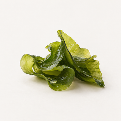Algae Extract