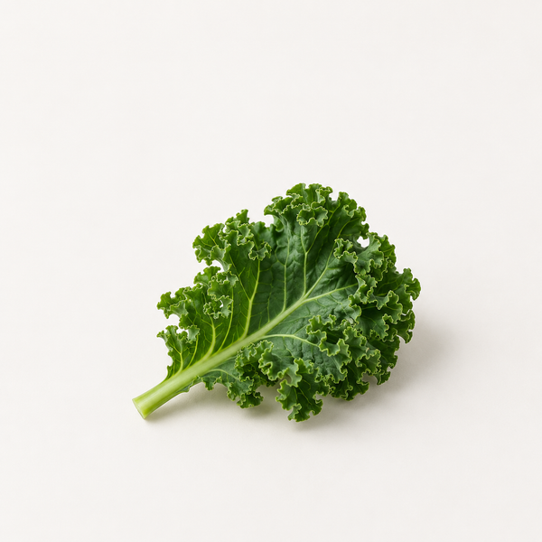 Brassica Oleracea Acephala Leaf Extract