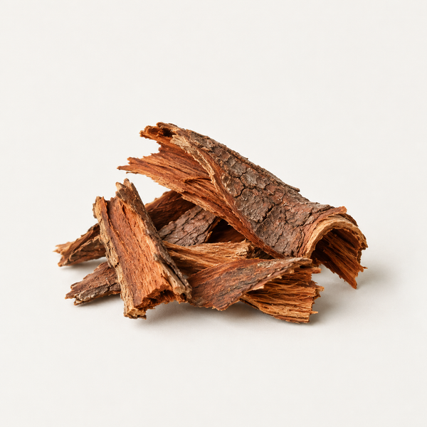 Mimosa Tenuiflora Bark Extract