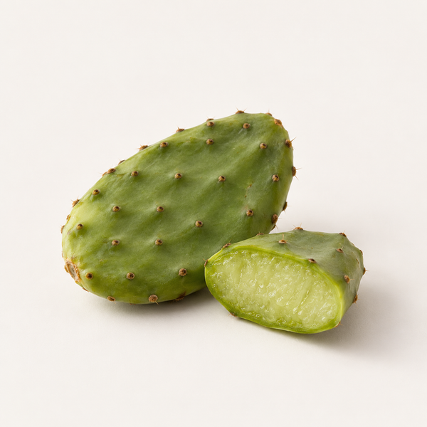 Opuntia Ficus-Indica Stem Extract