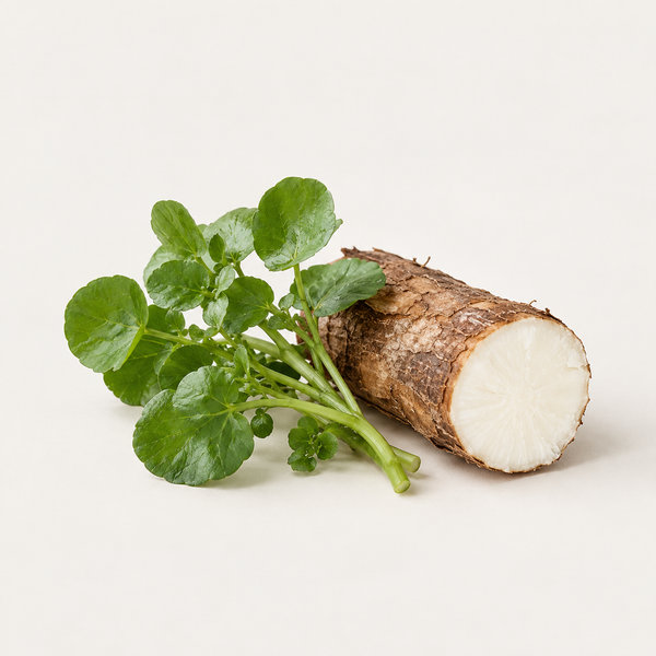 Watercress extract and Cassava extract