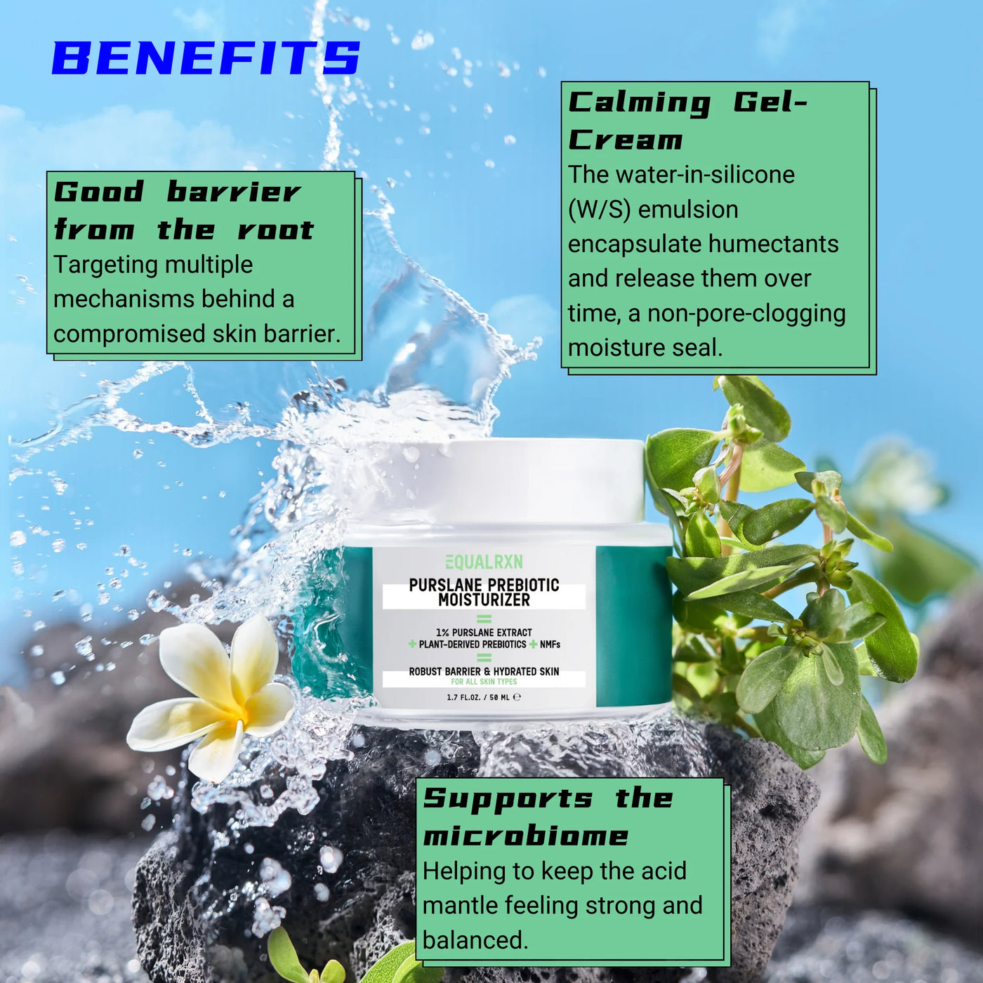 PURSLANE PREBIOTIC MOISTURIZER | Face Cream | LOSHEN & CREM