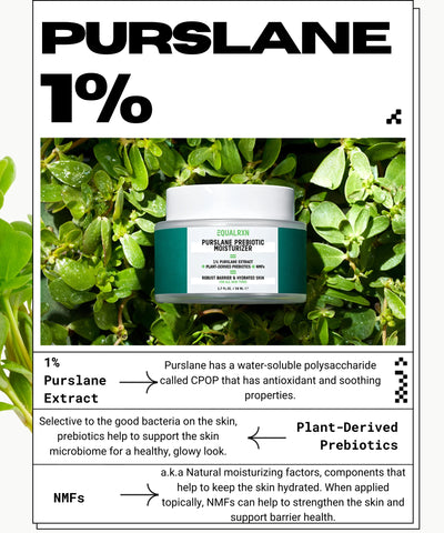 PURSLANE PREBIOTIC MOISTURIZER | Soothing gel cream | LOSHEN & CREM