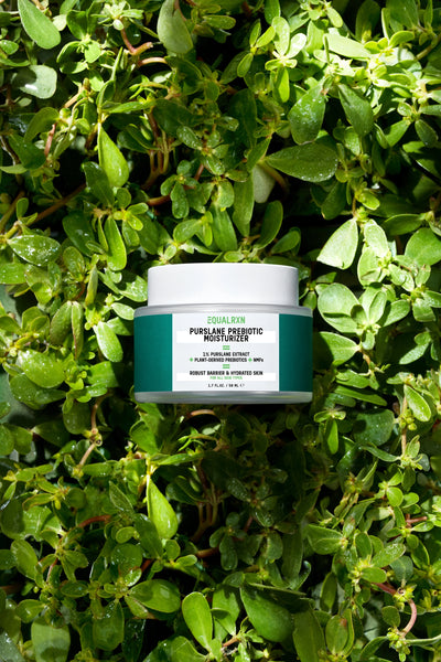 PURSLANE PREBIOTIC MOISTURIZER | Soothing gel cream | LOSHEN & CREM